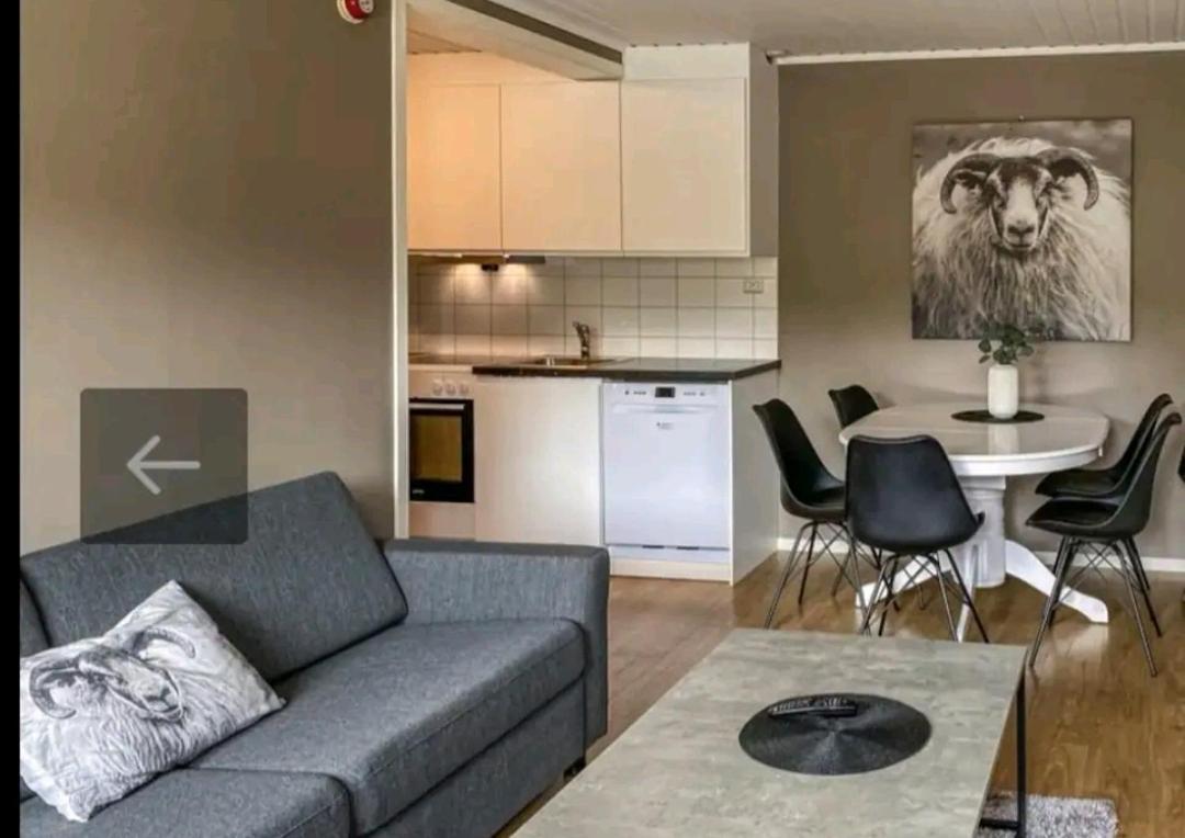 Bovervegen 19 Appartment Nr 9 Bjorli エクステリア 写真